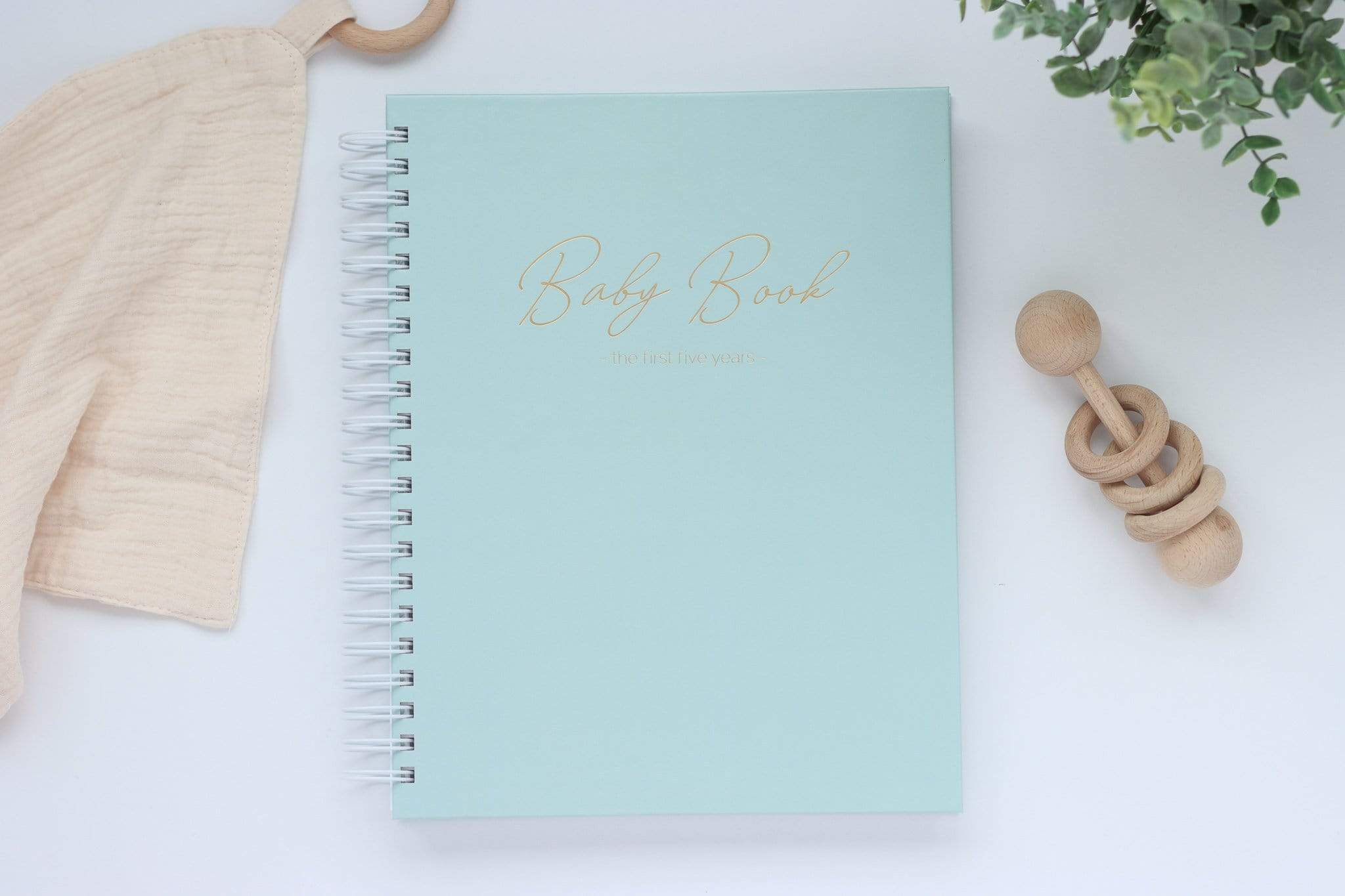 Baby's Five-Year Journal